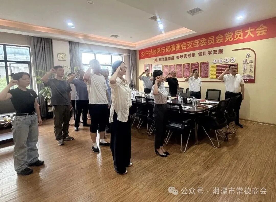党建领航启新程 聚力德商谱新篇｜湘潭市常德商会党支部圆满完成换届选举