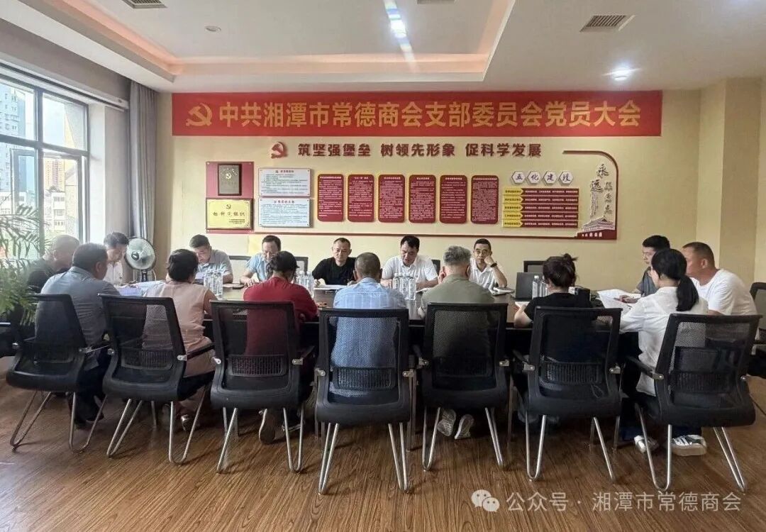 党建领航启新程 聚力德商谱新篇｜湘潭市常德商会党支部圆满完成换届选举